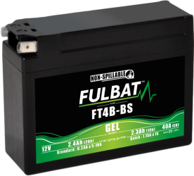 FT4B-BS GEL